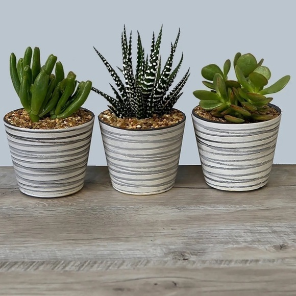 𝅺SET of 3 Pots with Wood Stands - Picture 2 of 3